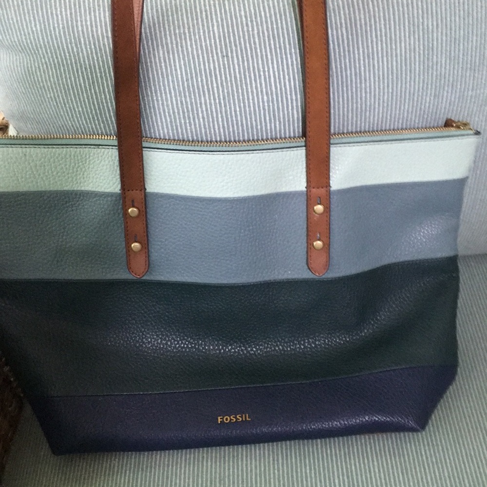 Fossil purse